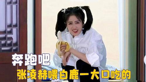 娱乐吃瓜张凌赫白鹿,娱乐圈的甜蜜瓜田